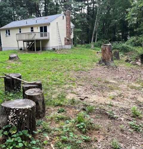 413 Dunham St, Southington CT  06489-1216 exterior