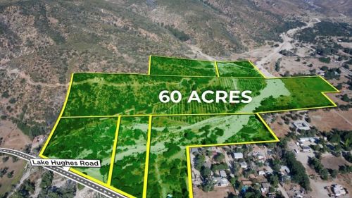 43615 Lake Hughes Rd, Leona Valley, CA 93532-1014