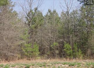 6 Stratmoor Ct, Horrel Hill, SC 29061-8201