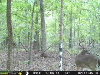 510 Porter Creek Rd, Middleton, TN 38052-4098
