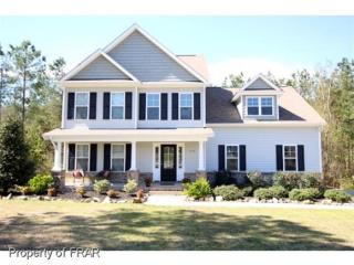 518 Omaha Dr, Broadway, NC 27505-8156