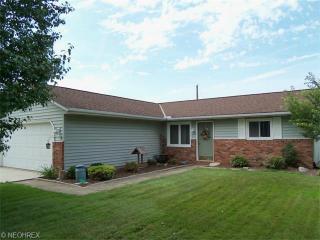 42172 Meadow Ln, Lagrange OH  44050-9677 exterior