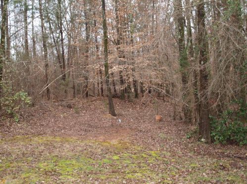 1432 Cotton Trl, Conyers GA  30094-4790 exterior