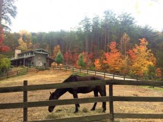 946 Piney Grove Rd, Greeneville, TN 37743-5304