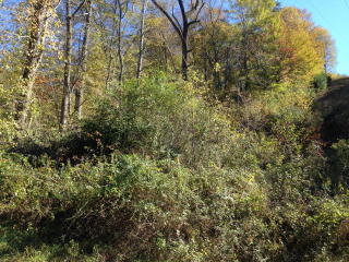13 Medford Dr, Oaklevel, VA 24055