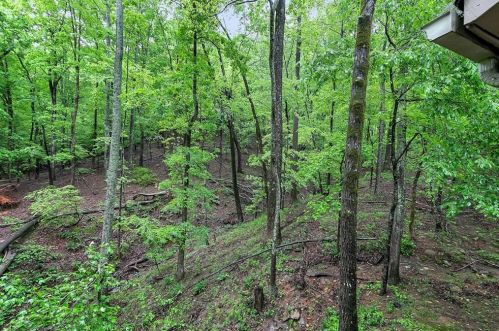 139 Buckeye Ct, Big Canoe, GA 30143-0034