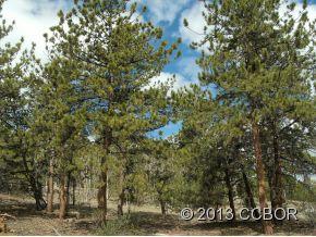 2555 Wagon Wheel Rd, Hartsel, CO 80449-8517