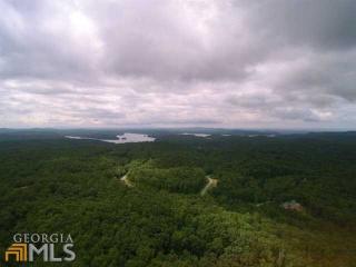 663 Lakeland Dr, Ellijay, GA 30540-5295
