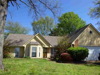 6528 Birch Walk Dr, Memphis, TN 38115-6660