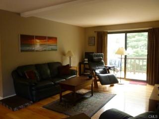 65 Village Walk, Wilton, CT 06897-4044