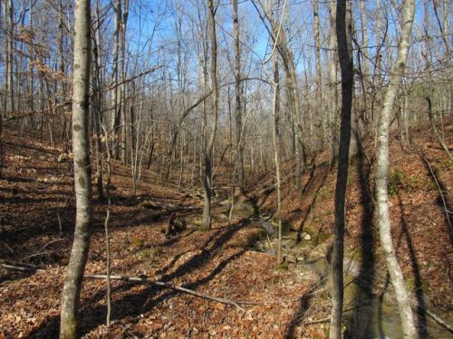 178 Cardinal Ln, Robbins, TN 37852-3541