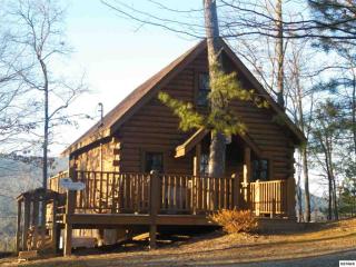2913 Valley Springs Way, Pigeon Forge, TN 37862-7697