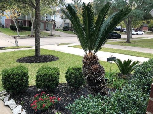 1402 Waterside Village Dr, Richmond TX  77407-6952 exterior