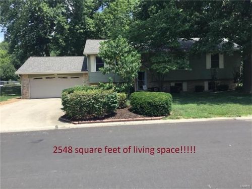 974 Long Branch Rd, Troy, IL 62294-3137