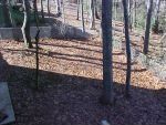 4813 Highpoint Dr, Marietta, GA 30066-6736