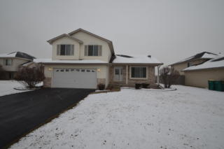 1306 Gilray Dr, Joliet IL  60431-6069 exterior