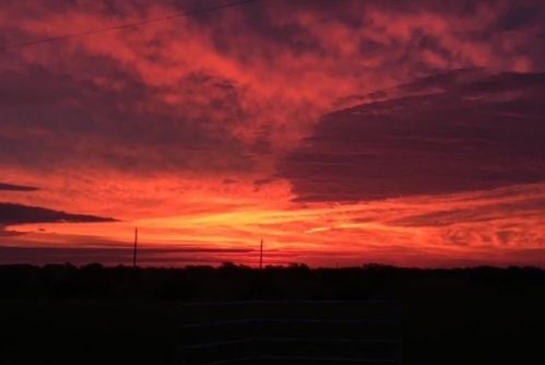 1256 Kentucky Town Rd, Whitewright TX 75491-3502 exterior