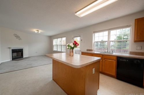 14 Greenview Ter, Middletown CT  06457-8738 exterior