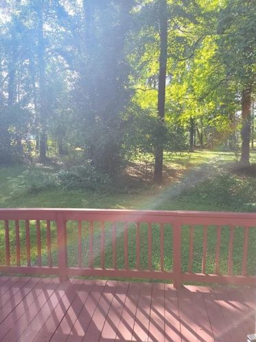 2202 Woodstream Ct, Conyers GA  30094-6830 exterior