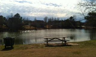 135 Deer Park Dr, Carrollton, GA 30116-1231