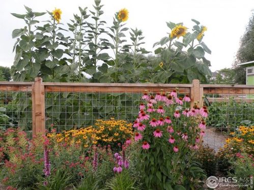 3002 County Fair Ln, Fort Collins CO  80528-3124 exterior