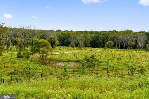 1520 Rabbit Holw Pl, Silver Spring MD 20906-6709 exterior