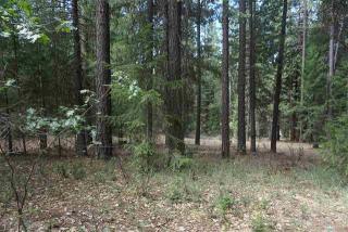 486 Main Ranch Rd, Spanish Ranch, CA 95971-9171