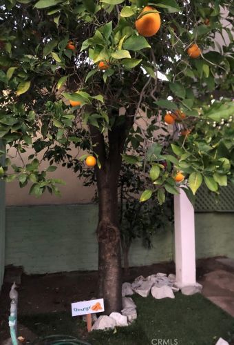 1547 El Miradero Ave, Glendale CA  91201-1203 exterior