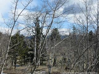 358 Overland Cir, Fairplay, CO 80456-0418