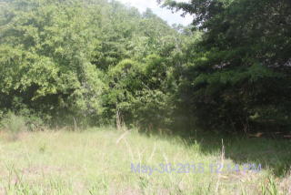 6022 Highway 162, Meggett, SC 29449-5765