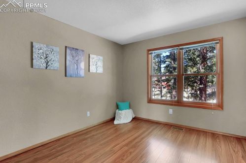 2720 Sunnywood Ave, Woodland Park CO 80863-9401 exterior