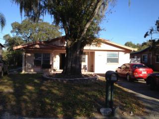 8617 May Cir, Tampa FL  33614-1733 exterior