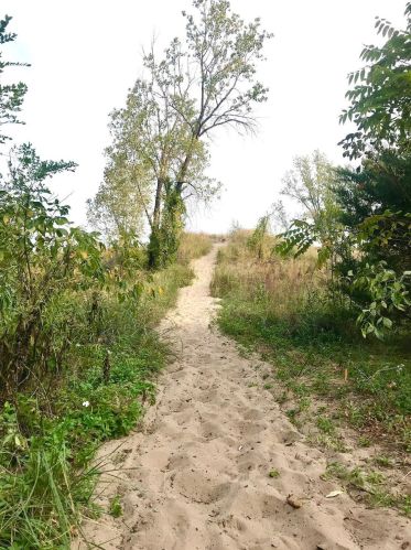 7613 Oak Ave, Gary IN  46403-1362 exterior