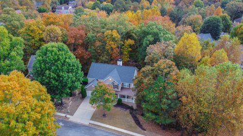 1033 Alexander Run Pass, Buford GA  30518-5560 exterior