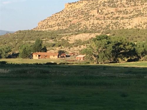 54318 Highway 330, Collbran, CO 81624-9506
