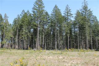291 Husky Ln, Kamilche, WA 98584