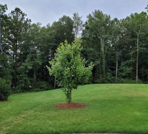 440 Andrew Ridge Dr, Jefferson GA  30549-6977 exterior