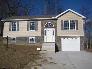 324 Double Eagle Ln, Core WV  26541-8210 exterior