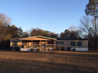 115 Buggy Whip Ln, Jesup, GA 31546-5201
