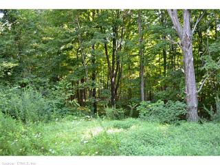 105 Hattertown Rd, Newtown, CT 06470-2441