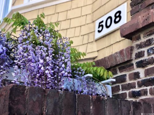 508 Belvedere St, San Francisco CA  94117-4364 exterior