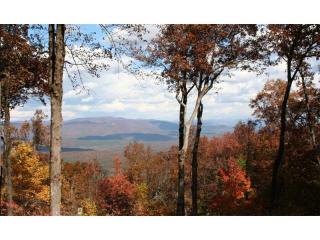 16 Eagle Ridge Rd, Dawsonville, GA 30534-0013
