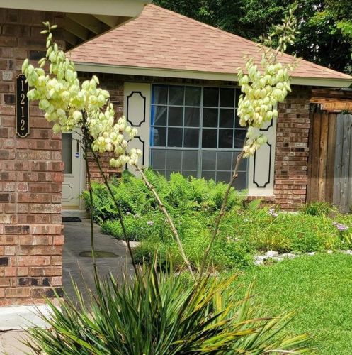 1212 Dunstan Dr, Austin TX  78745-4959 exterior