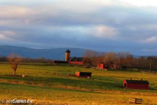 9024 Quadrangle Rd, Upperville, VA
