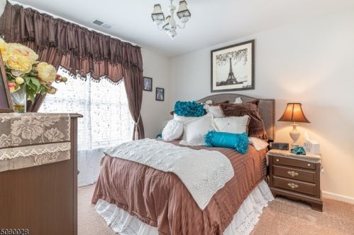 28 Junegrass Way, Hackettstown NJ  07840-4539 exterior
