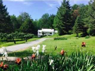 44 Cheney Ave, Peterborough, NH 03458-1527