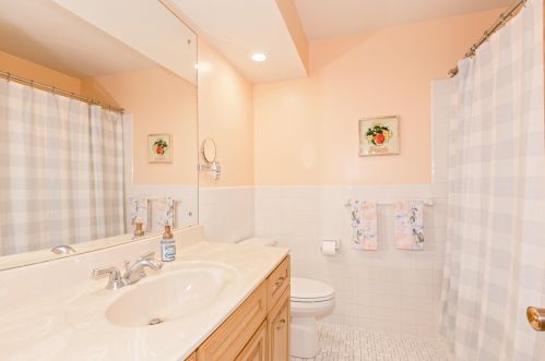 1033 Carlton Dr, Saint Paul MN  55126-8127 exterior