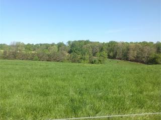 690 Reed Springs Church Rd, Philadelphia, TN 37846-1665