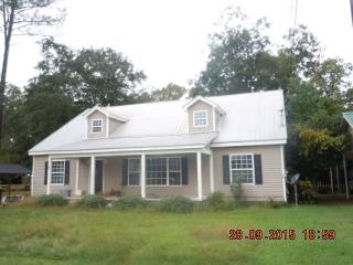 40 Stevens St, Ellaville, GA 31806-3001