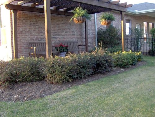2306 Wood River Pkwy, Midlothian TX  76063-6076 exterior